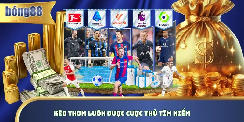 Cách Chọn Kèo Thơm - Bí Kíp Soi Bách Phát Bách Trúng Kèo thơm luôn được cược thủ tìm kiếm